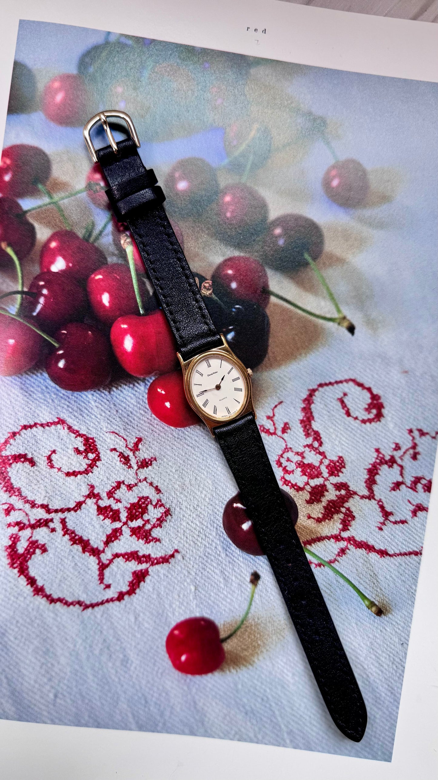 Vintage Watch Collection