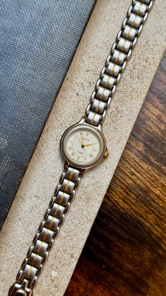 Fleuve Citizen Fill Watch 1990s - Roman Dial